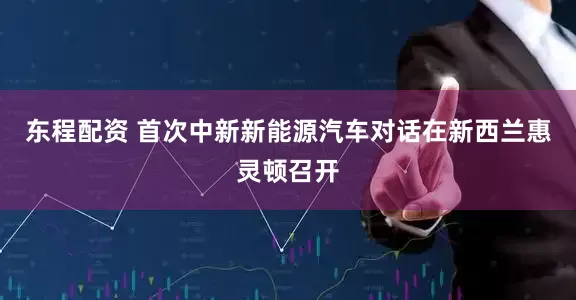 东程配资 首次中新新能源汽车对话在新西兰惠灵顿召开