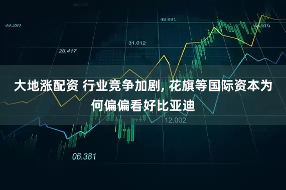 大地涨配资 行业竞争加剧, 花旗等国际资本为何偏偏看好比亚迪